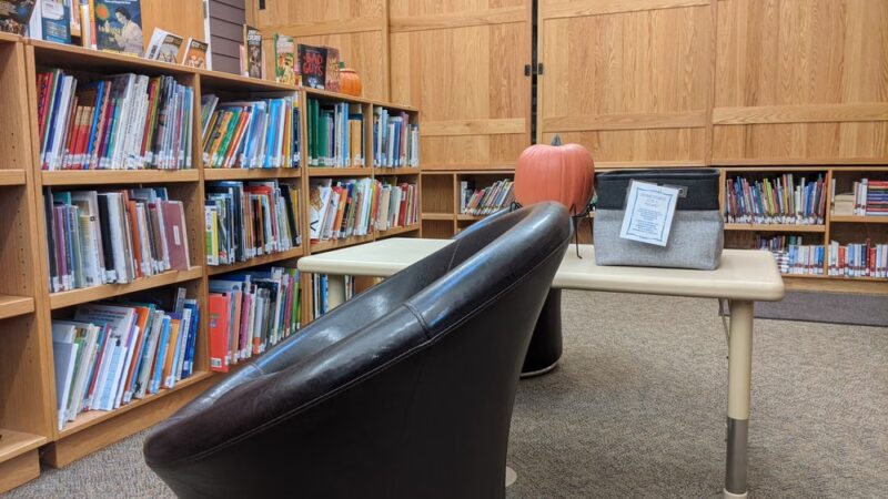 Hollwedel Memorial Library (formerly Pavilion Public Library) - Pavilion, NY