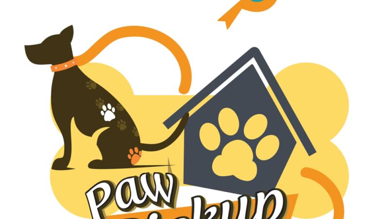 Paw Pickup - ,