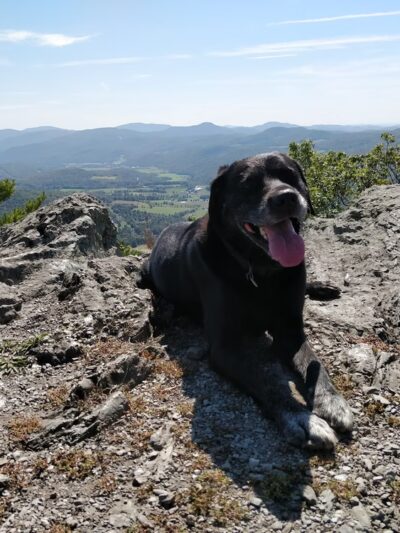 North Pawlet Hills Natural Area - Pawlet, VT