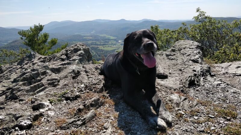 North Pawlet Hills Natural Area - Pawlet, VT
