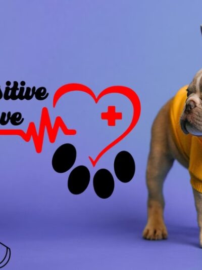 Pawsitive Love Dog - ,