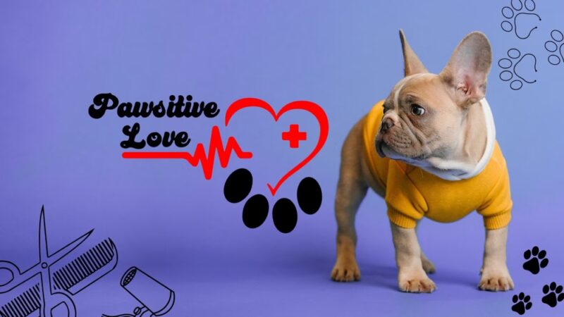 Pawsitive Love Dog - ,