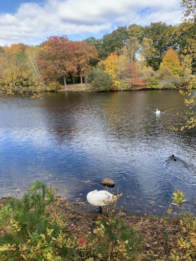 Slater Memorial Park - Pawtucket, RI