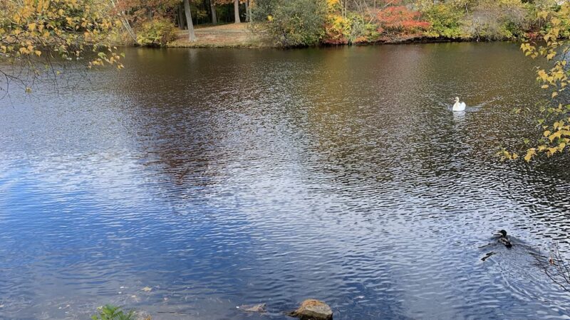 Slater Memorial Park - Pawtucket, RI