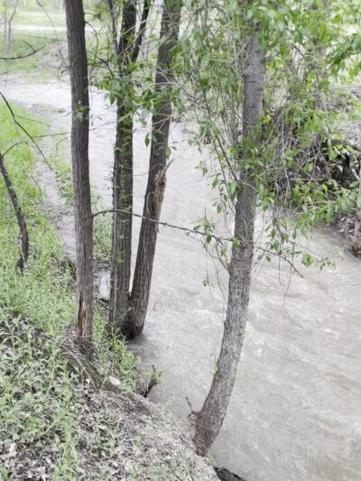 Dry Creek Trail - Payson, UT