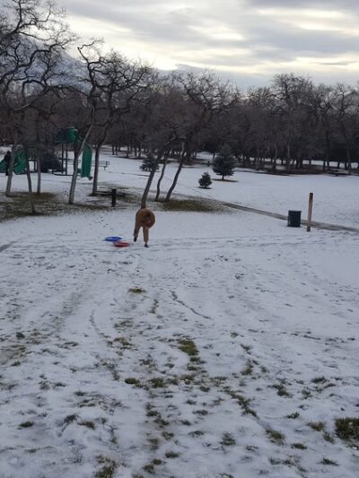 Hollow Park - Payson, UT
