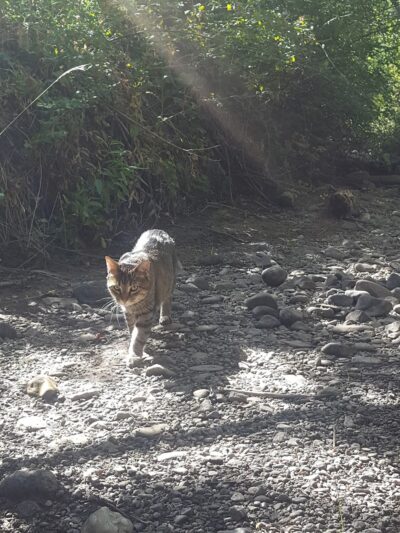 Payson City Bike Path - Payson, UT