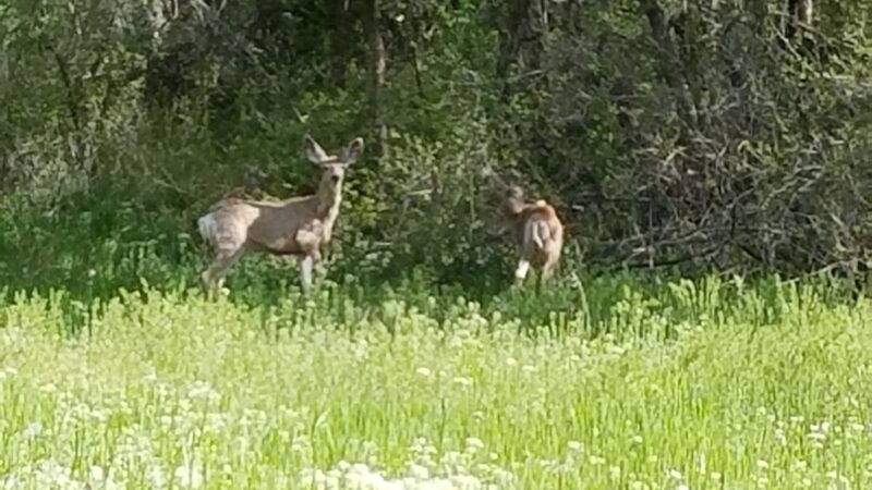 Payson City Bike Path - Payson, UT