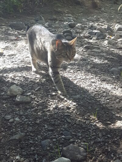 Payson City Bike Path - Payson, UT