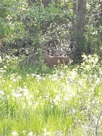 Payson City Bike Path - Payson, UT