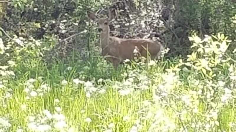Payson City Bike Path - Payson, UT
