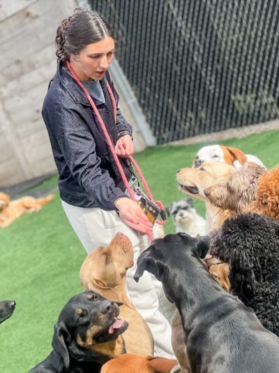 Brendle's Pet Resort - Pearcy, AR