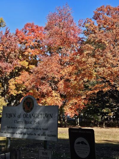 Cherry Brook Park - Pearl River, NY