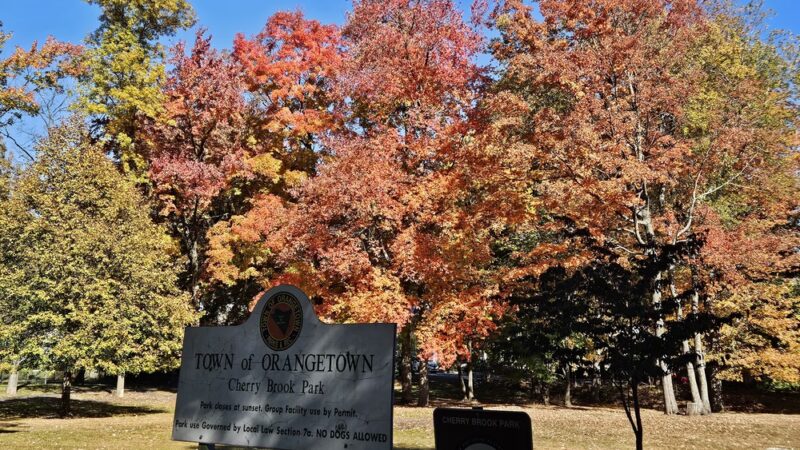 Cherry Brook Park - Pearl River, NY