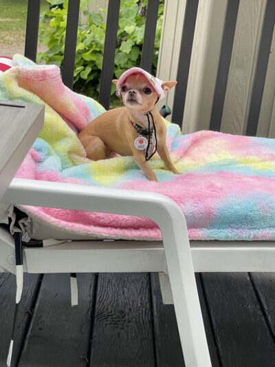 Northern Hideaway RV Park and Campground - Pearson, WI