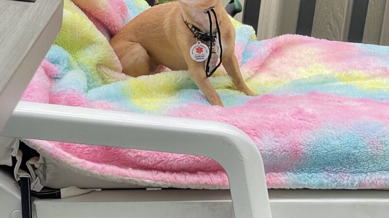 Northern Hideaway RV Park and Campground - Pearson, WI