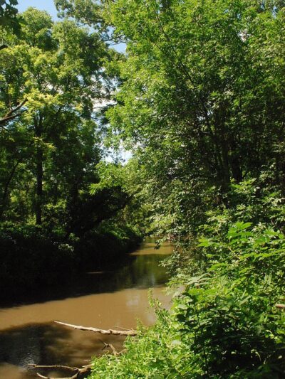 Pecatonica River Forest Preserve - Pecatonica, IL