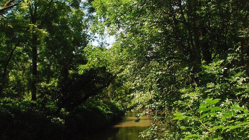 Pecatonica River Forest Preserve - Pecatonica, IL