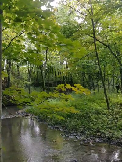 Pecatonica River Forest Preserve - Pecatonica, IL
