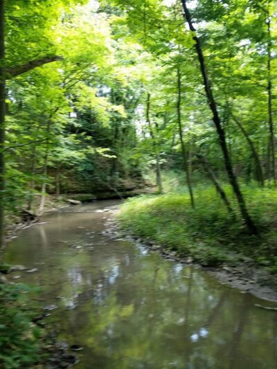 Pecatonica River Forest Preserve - Pecatonica, IL