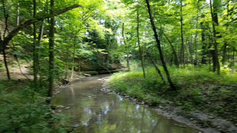 Pecatonica River Forest Preserve - Pecatonica, IL