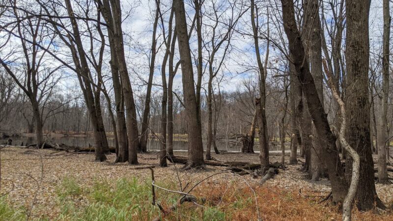 Pecatonica River Forest Preserve - Pecatonica, IL