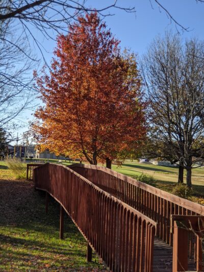 Sumner Park District - Pecatonica, IL
