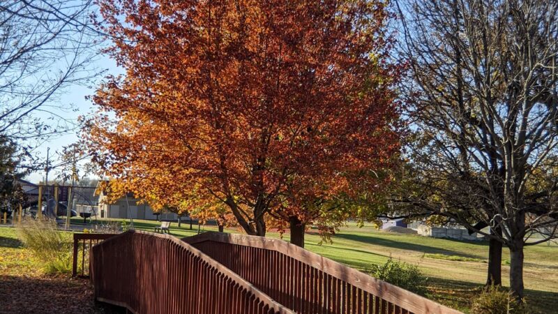 Sumner Park District - Pecatonica, IL