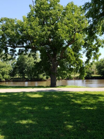 Sumner Park District - Pecatonica, IL