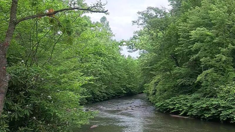 Lackawanna River Heritage Trail - Depot Street Trailhead, Peckville - Peckville, PA