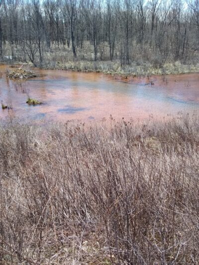 Lackawanna River Heritage Trail - Depot Street Trailhead, Peckville - Peckville, PA