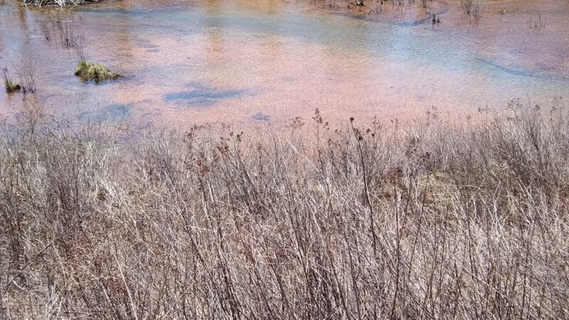 Lackawanna River Heritage Trail - Depot Street Trailhead, Peckville - Peckville, PA