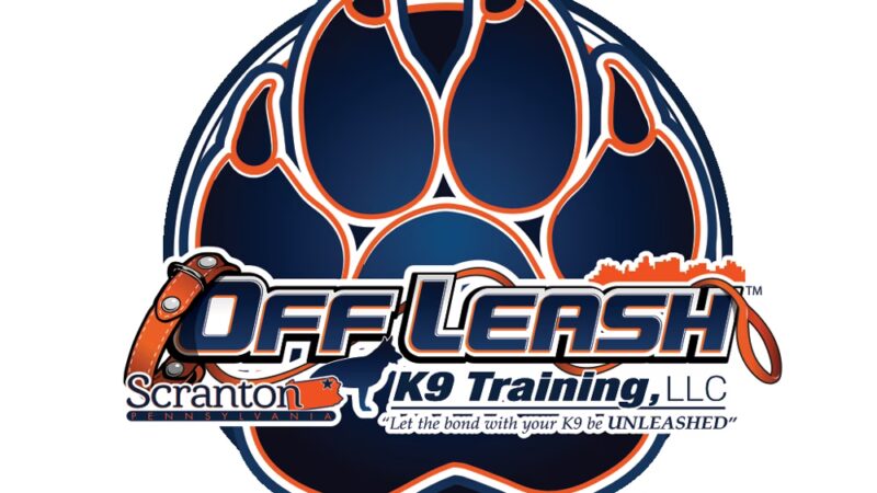 Off Leash K9 Training, Scranton - Peckville, PA