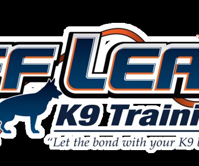 Off Leash K9 Training, Scranton - Peckville, PA