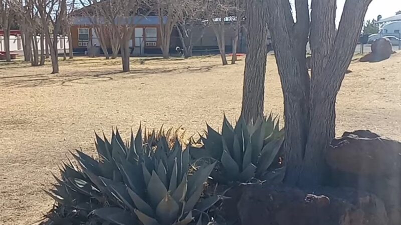 Maxey Bark Park - Pecos, TX