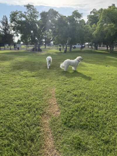 Maxey Bark Park - Pecos, TX