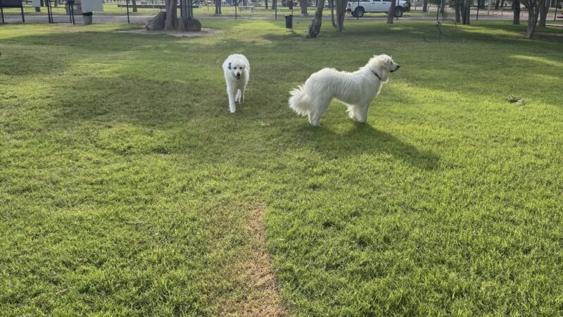 Maxey Bark Park - Pecos, TX
