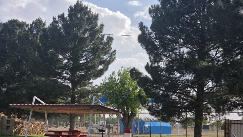Maxey Bark Park - Pecos, TX