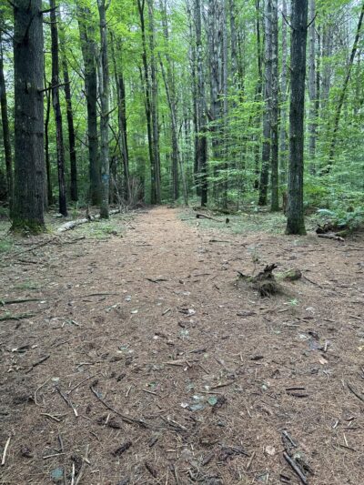Buffam Falls Parking - Pelham, MA