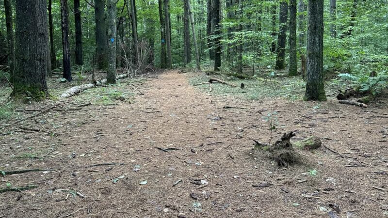 Buffam Falls Parking - Pelham, MA