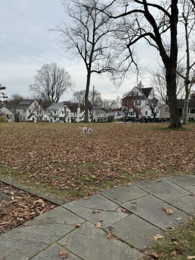 Chester Park - Pelham, NY