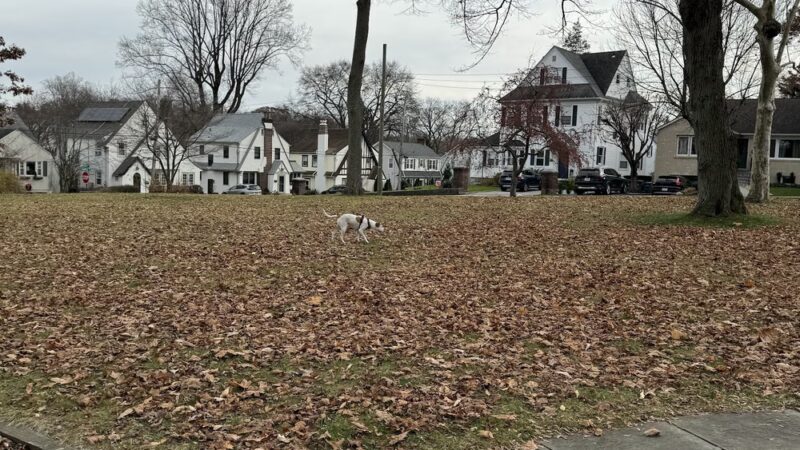 Chester Park - Pelham, NY