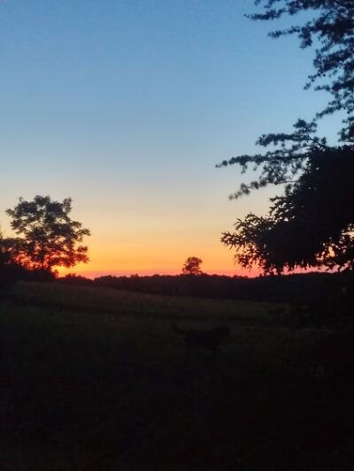 Pelham - Pelham, NC