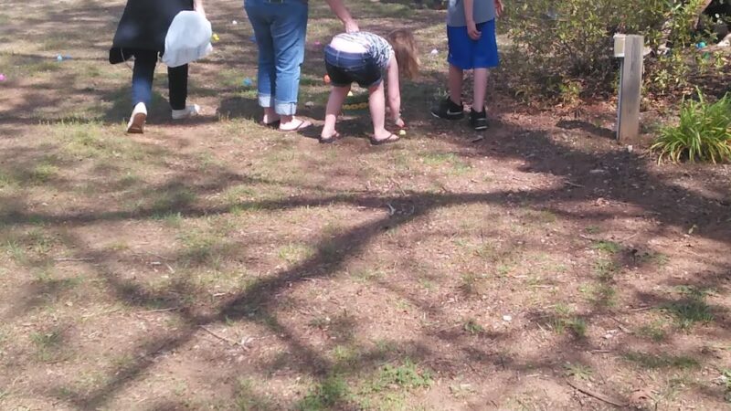 Pelzer Monkey Park - Pelzer, SC