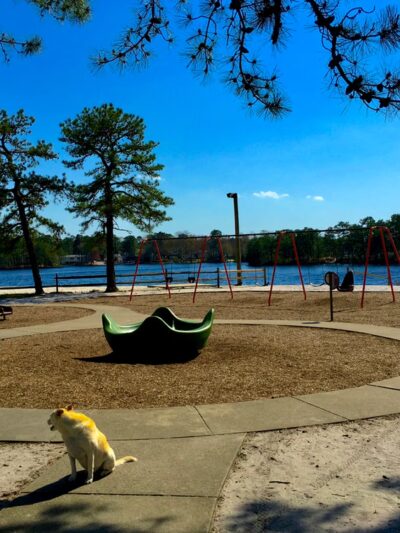 Pemberton Township Recreation Department - Pemberton Township, NJ