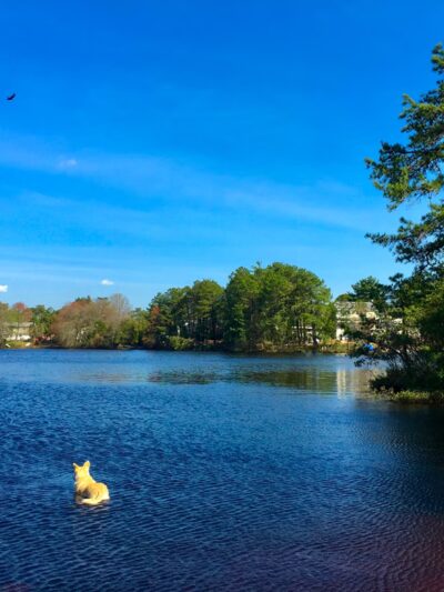 Pemberton Township Recreation Department - Pemberton Township, NJ