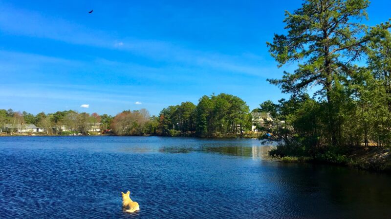Pemberton Township Recreation Department - Pemberton Township, NJ