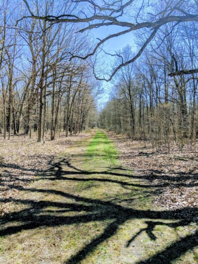 Iroquois County State Wildlife Area - Pembroke Township, IL