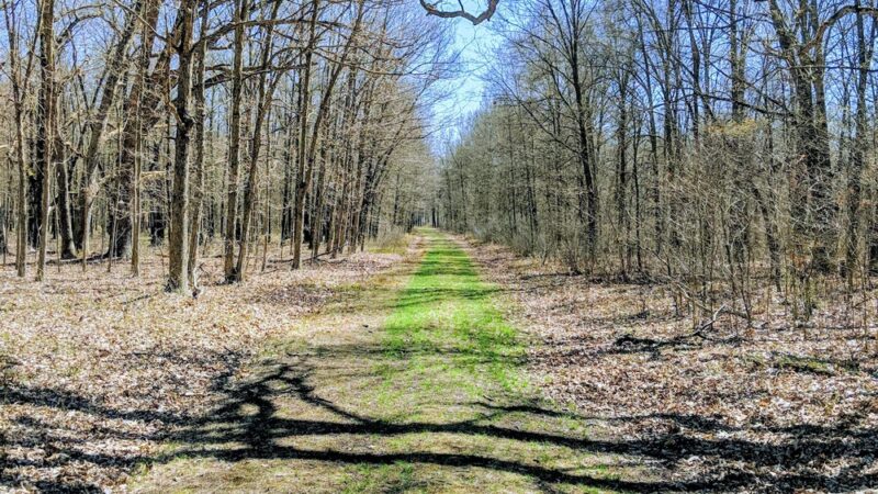 Iroquois County State Wildlife Area - Pembroke Township, IL