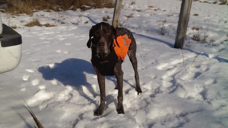 Iroquois County State Wildlife Area - Pembroke Township, IL